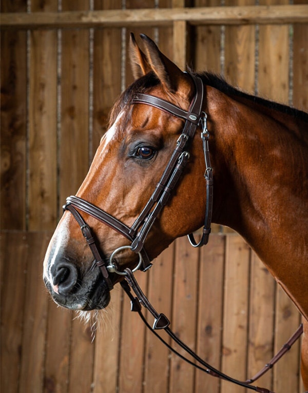 Dy'on Flash Noseband Kantár Karabínerekkel Working by Dy'on - Image 2