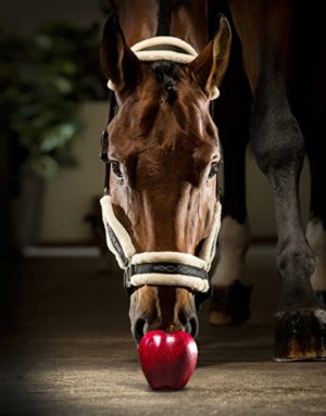 Equiline Tom Bárányszőrös Kötőfék