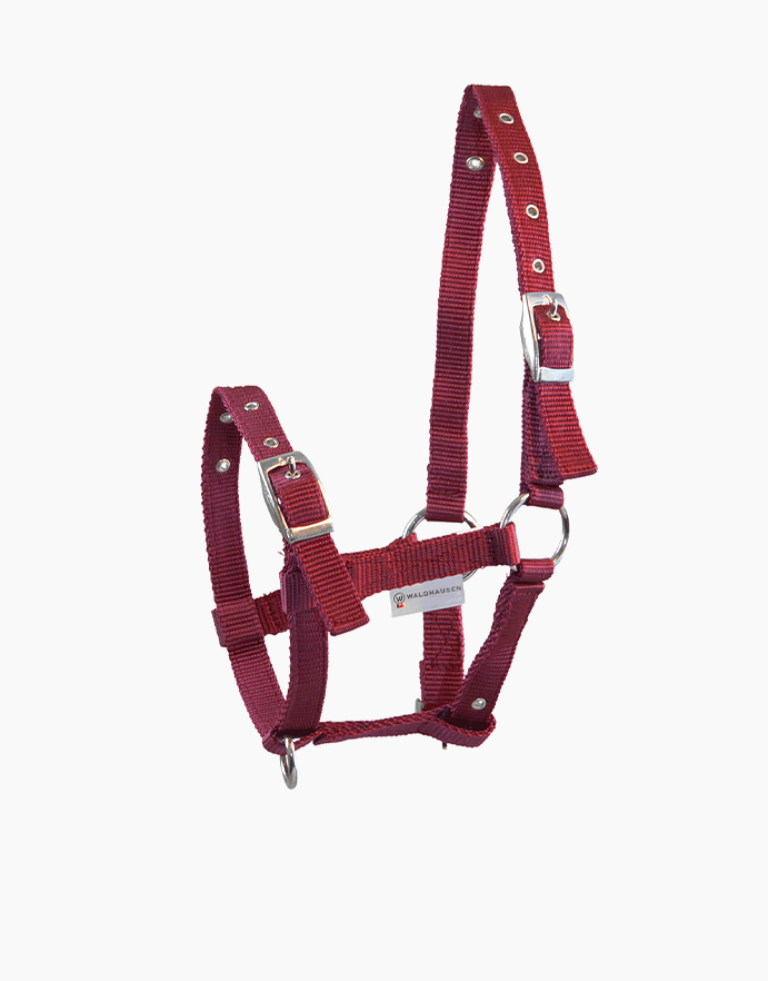Waldhausen Triple Csikókötőfék - Image 2