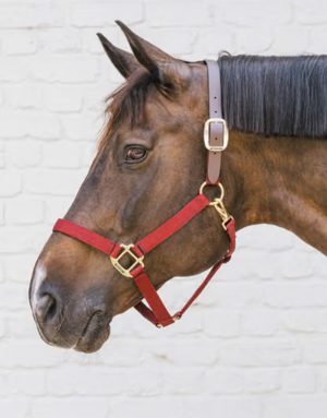 Kentucky Breakaway Kötőfék
