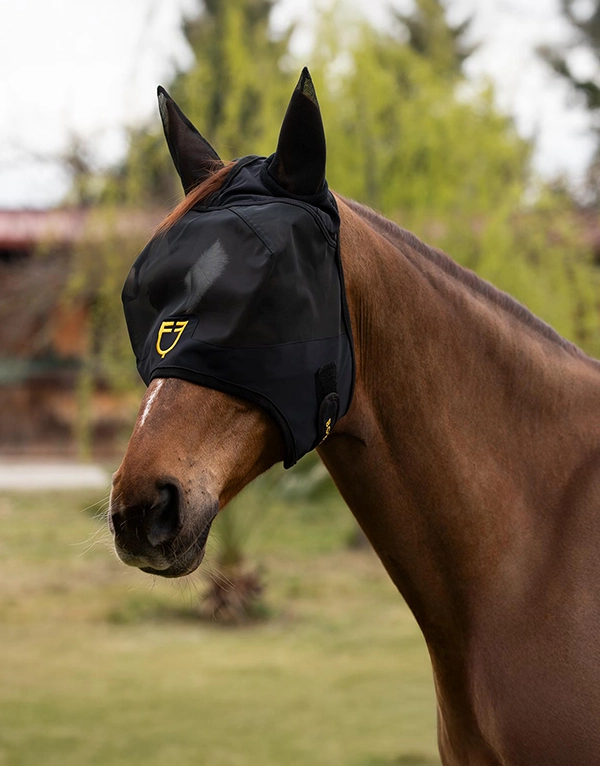 Equestro Légymaszk - Image 4